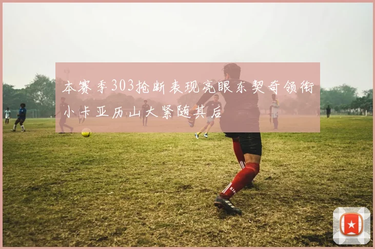 本赛季303抢断表现亮眼东契奇领衔小卡亚历山大紧随其后