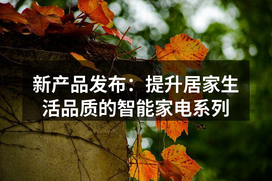 新款智能冰箱，科技与设计的完美结合。